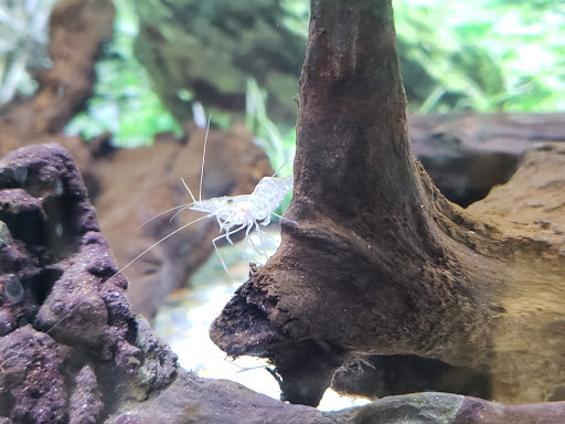 Pet Supply Store «Petco Animal Supplies», reviews and photos, 10464 Baltimore Ave, Beltsville, MD 20705, USA