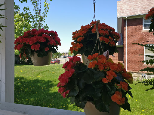 Florist «Grand Blanc Florist», reviews and photos, 11626 S Saginaw St, Grand Blanc, MI 48439, USA