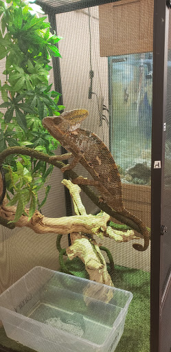 Pet Store «PV Pets», reviews and photos, 233 S Broadway, Pennsville, NJ 08070, USA