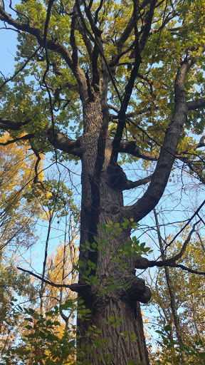 Cemetery «Crown Hill Funeral Home and Cemetery», reviews and photos, 700 38th St, Indianapolis, IN 46208, USA