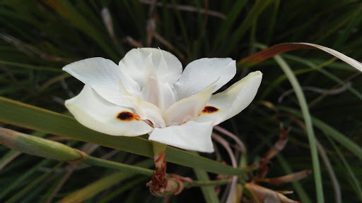 Park «Centennial Hills Park», reviews and photos, 7101 N Buffalo Dr, Las Vegas, NV 89131, USA