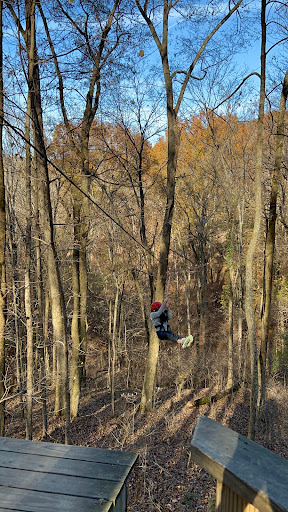 Tourist Attraction «Adventureworks Zipline Forest», reviews and photos, 4129 Whites Creek Pike, Whites Creek, TN 37189, USA