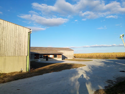 La Croix Brillet (Gaec) à Ombrée d'Anjou
