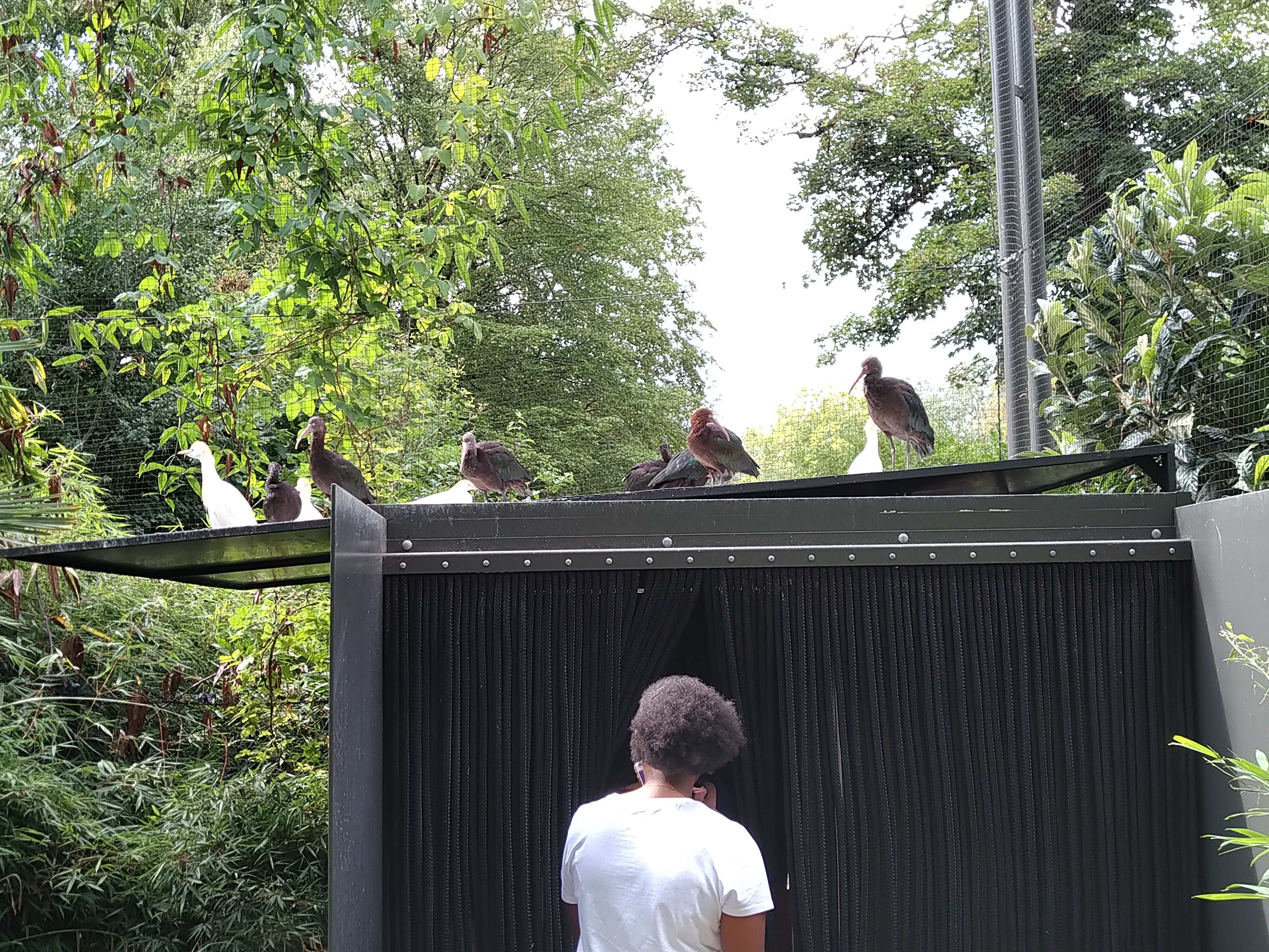 Photo n° 8 de l'avis de HardLoSeDa. fait le 15/08/2019 à 14:36