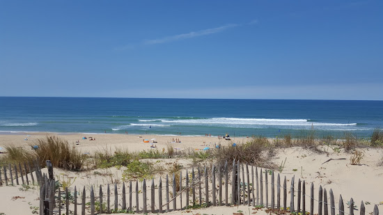 Jenny beach