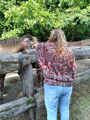 Horseback Riding Service «Grandpa Jeffs Trailrides», reviews and photos, 5889 S Skinner Rd, Morgantown, IN 46160, USA