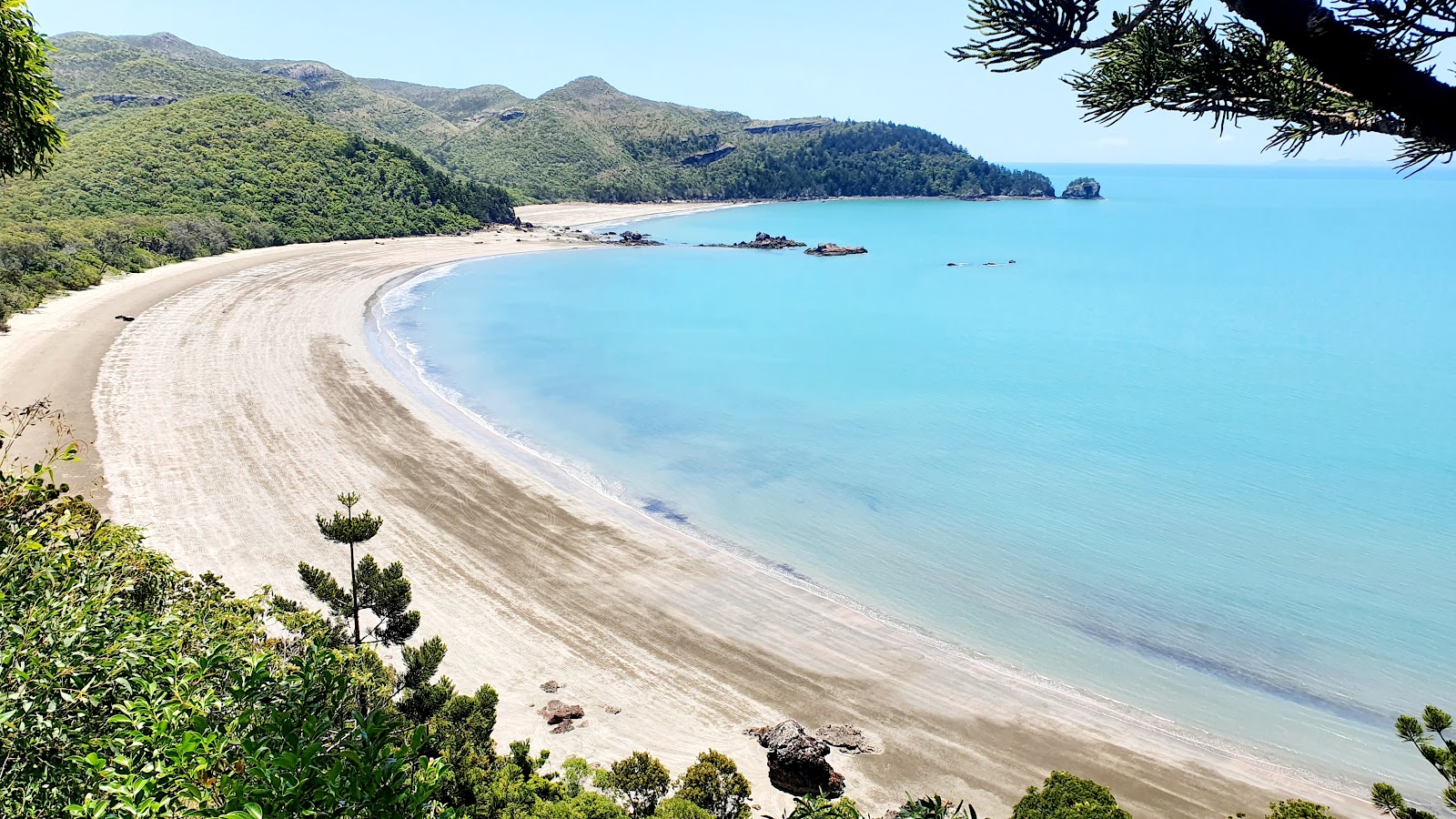 Foto av Cape Hillsborough Beach med beige sand yta