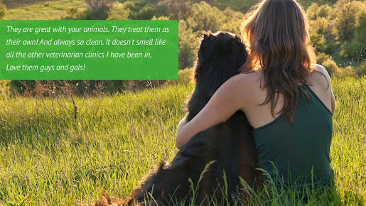 Woodland Veterinary Hospital