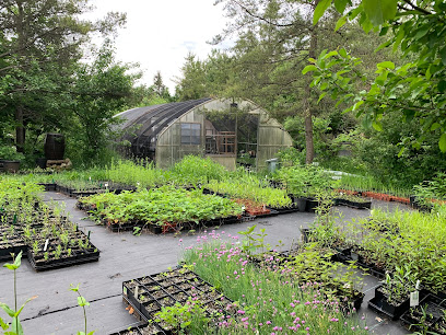 Ontario Flora – Native Plant Nursery, Landscape and Ecological Design, Community Greening