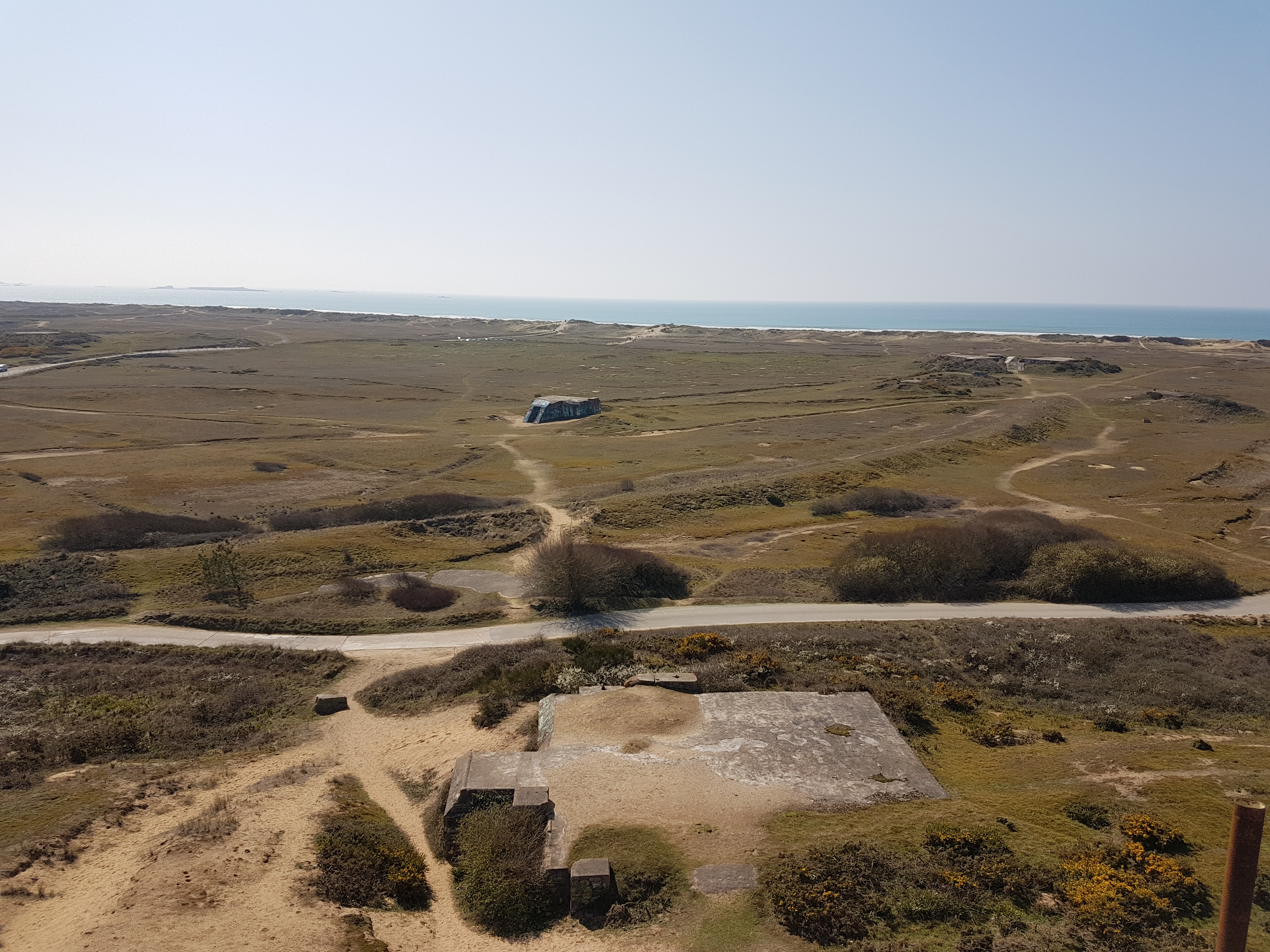 Photo n° 1 de l'avis de Argan.E fait le 26/03/2019 à 13:36
