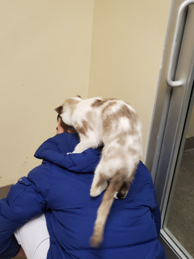 Pet Supply Store «Petco Animal Supplies», reviews and photos, 2824 Long Beach Rd, Oceanside, NY 11572, USA