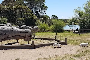 Civic Reserve Fenced Dog Park image