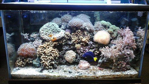 Pet Supply Store «IncrediPet», reviews and photos, 306 Southland Dr, Lexington, KY 40503, USA