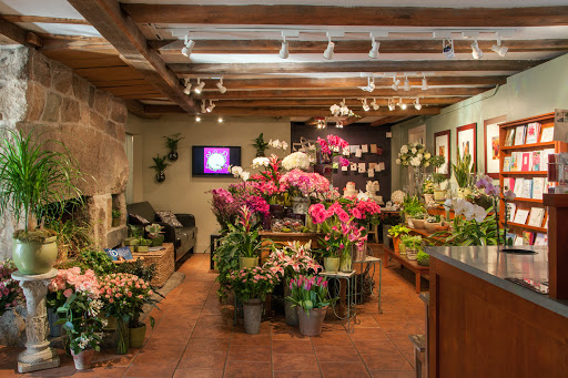Florist «Studio 539 Flowers», reviews and photos, 174 Wickenden St, Providence, RI 02903, USA