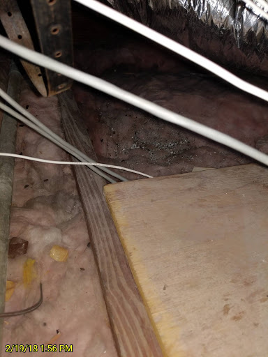 Pest Control Service «Critter Control of Miami», reviews and photos