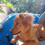 Photo n°1 de l'avis de Stefano.o fait le 01/09/2017 à 18:47 sur le  Gran Sasso d'Italia à Macerata