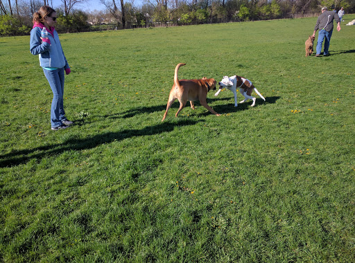 Dog Park «Carol Stream Bark Park», reviews and photos, 280 Kuhn Rd, Carol Stream, IL 60188, USA