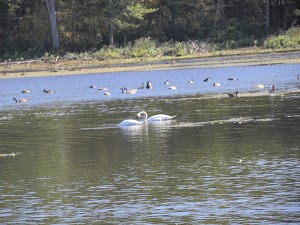 Winnekenni Park - photo 64