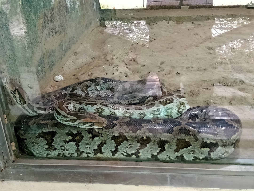 New Serpentarium