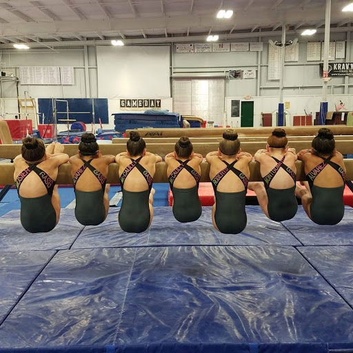 Gymnastics Center «Georgia All-Star Gymnastics», reviews and photos, 105 Arnold Mill Park, Woodstock, GA 30188, USA