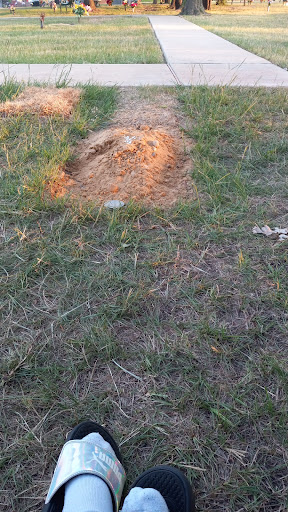 Funeral Home «Laurel Oaks Funeral Home», reviews and photos, 12649 Lake June Rd, Mesquite, TX 75180, USA