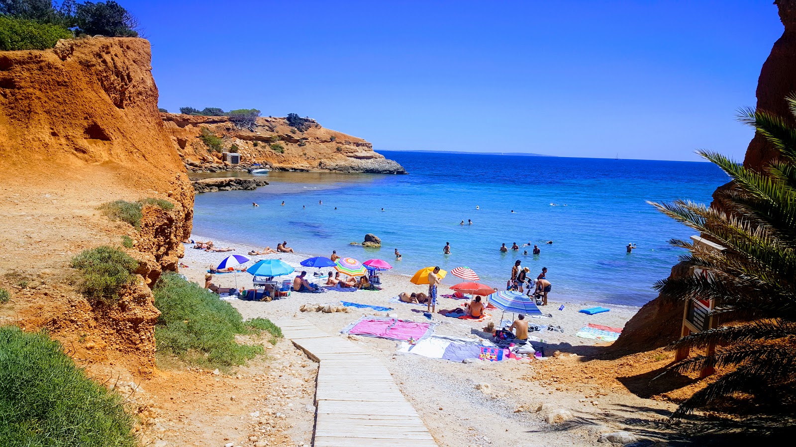 Es Bol Nou photo #5