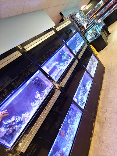 Pet Store «Sailfin Pet Shop», reviews and photos, 720 S Neil St # 2, Champaign, IL 61820, USA