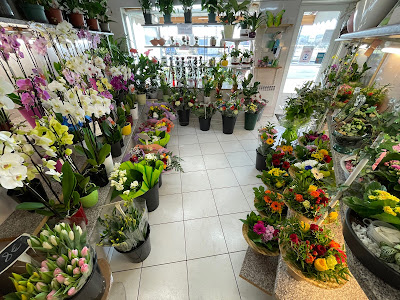 Promo Fleurs à Metz