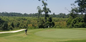 Witch Golf Links - photo 79