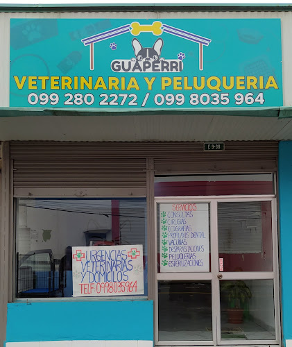 Opiniones de Guaperri Veterinaria y Peluquería en Quito - Veterinario