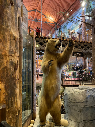 Sporting Goods Store «Bass Pro Shops», reviews and photos, 1356 Bass Pro Dr, Manteca, CA 95337, USA