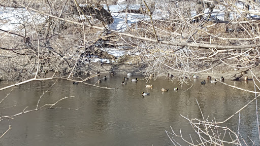 Golf Course «Riverside Municipal Golf Course», reviews and photos, 1158 Riverside St, Portland, ME 04103, USA