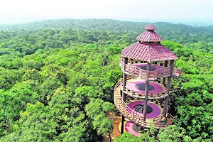 Narsapur Forest urban park image