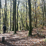 Photo n° 5 de l'avis de Pascaline.r fait le 05/11/2017 à 08:54 pour Cascade du Saut de Gouloux à Gouloux