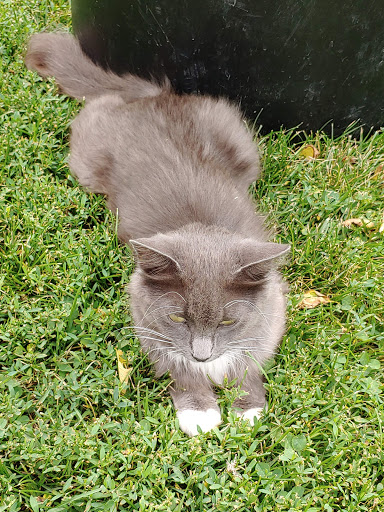 Winery «Strawbale Winery», reviews and photos, 47215 257th St, Renner, SD 57055, USA