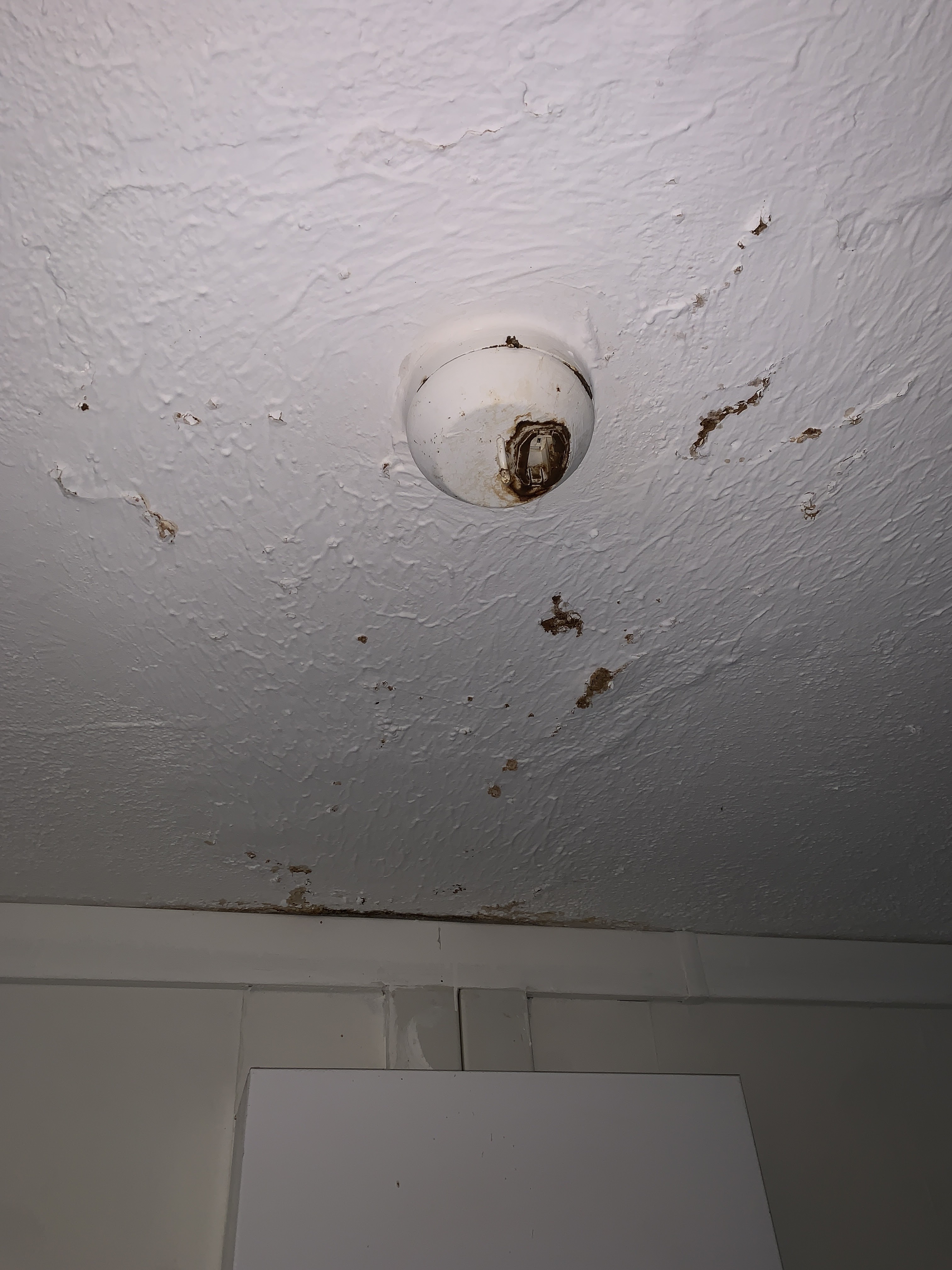 Photo n° 1 de l'avis de Ayoub.a fait le 06/06/2022 à 19:16