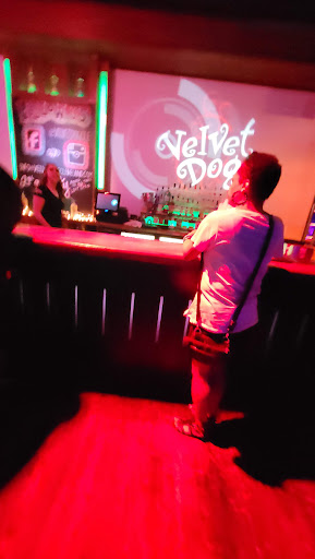 Night Club «The Velvet Dog», reviews and photos, 1280 W 6th St, Cleveland, OH 44113, USA