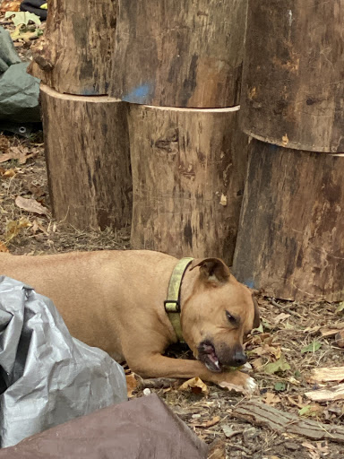 ATV Dealer «Jetsport Suzuki Kawasaki», reviews and photos, 390 E Jericho Turnpike, Huntington Station, NY 11746, USA