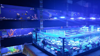 Big Al's Aquarium Supercentres - North York