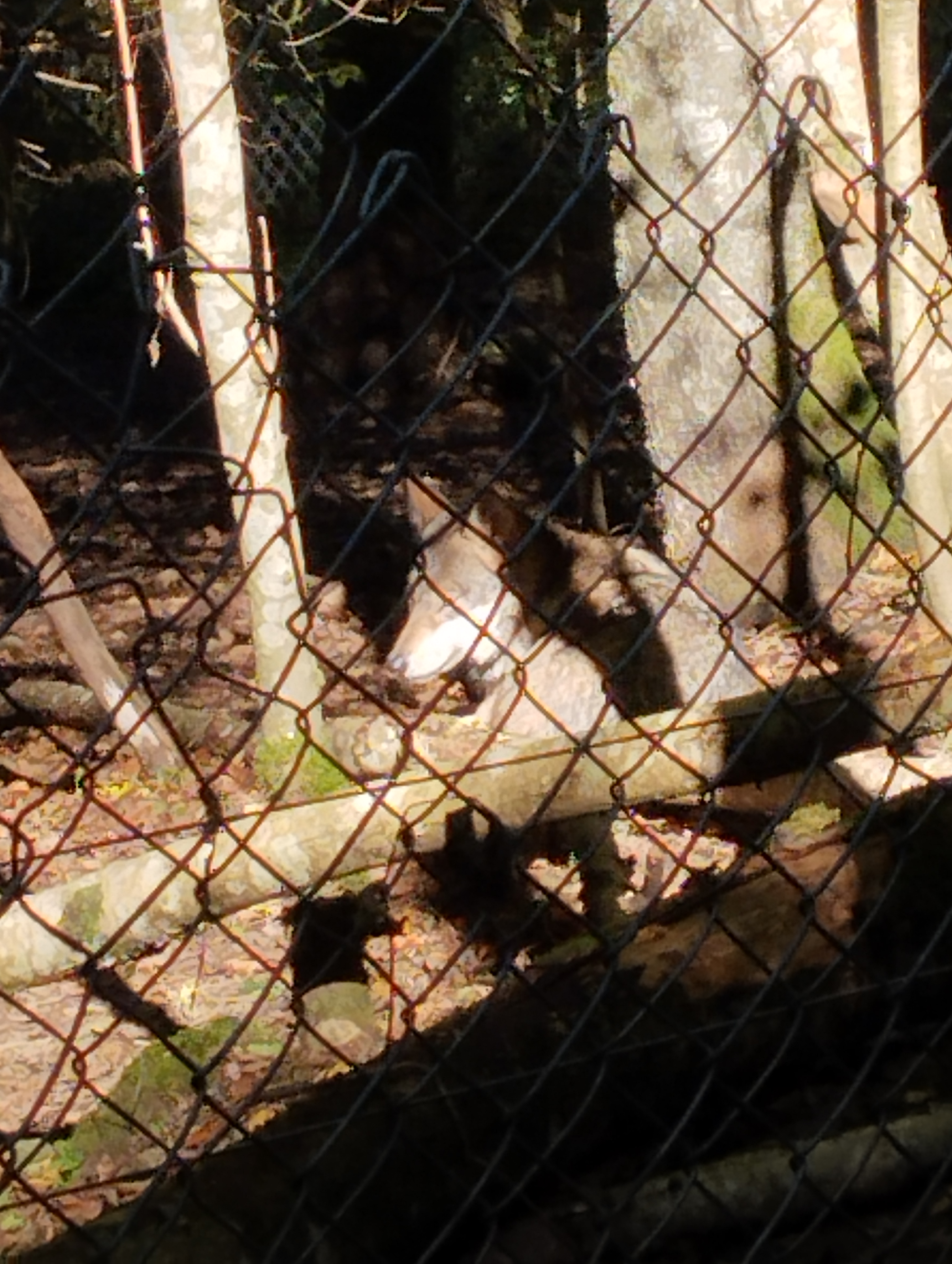 Photo n° 1 de l'avis de Manou. fait le 30/10/2023 à 05:45