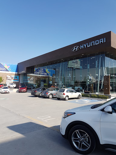 Hyundai Campestre