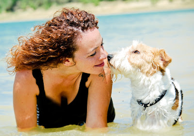 Animal et Bien-être - Comportementaliste et éducateur canin Toulouse à Saint-Paul-sur-Save