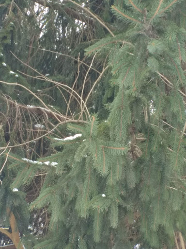 Amusement Park «Meadowmere Park», reviews and photos, 13610 Byars Rd, Grandview, MO 64030, USA