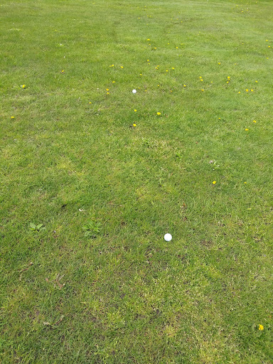 Golf Club «Twin Brooks Golf Course», reviews and photos, 1005 McKeighan Rd, Chesaning, MI 48616, USA