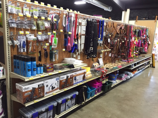 Equestrian store Irving