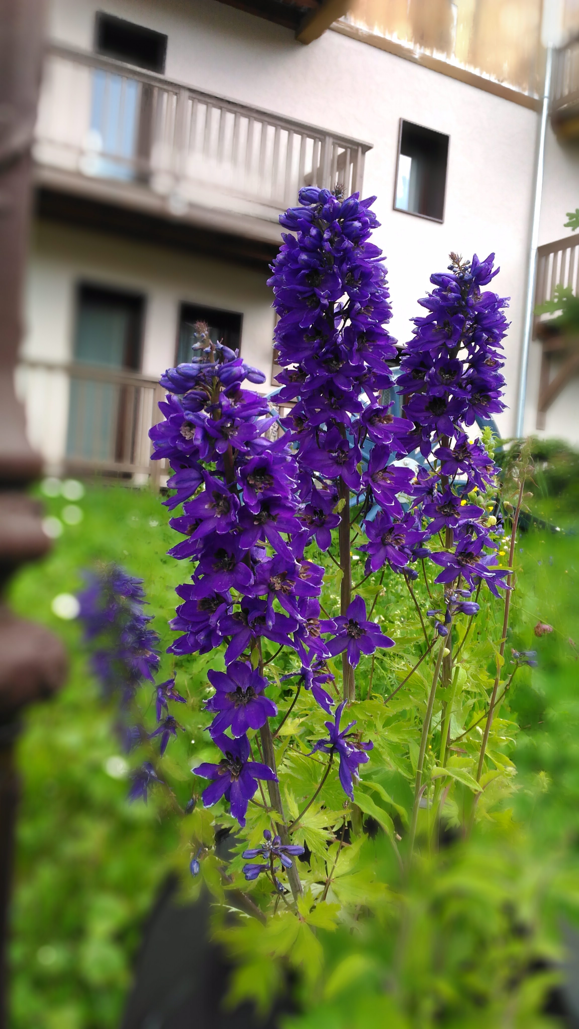 Photo n° 4 de l'avis de CHRIST. fait le 25/07/2018 à 18:05