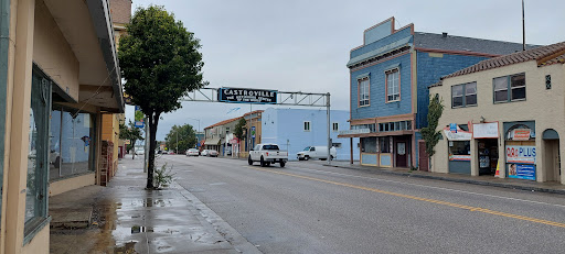 Supermarket «Reynoso Supermarket», reviews and photos, 10750 Merritt St, Castroville, CA 95012, USA