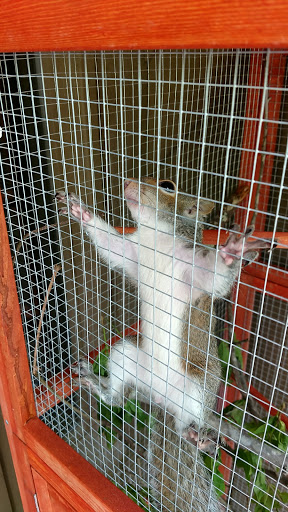 National Park «Kennesaw Mountain National Battlefield Park», reviews and photos, 900 Kennesaw Mountain Dr, Kennesaw, GA 30188, USA