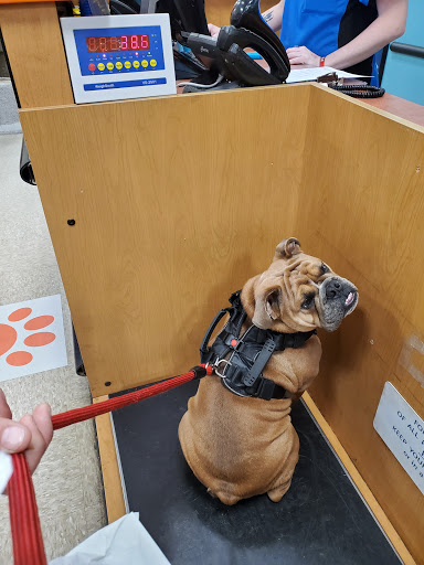 Pet Supply Store «PetSmart», reviews and photos, 7177 SE 29th St, Midwest City, OK 73110, USA