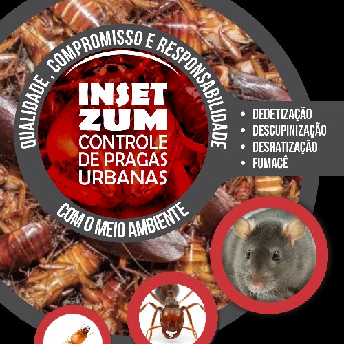Logo da empresa - Insetzum